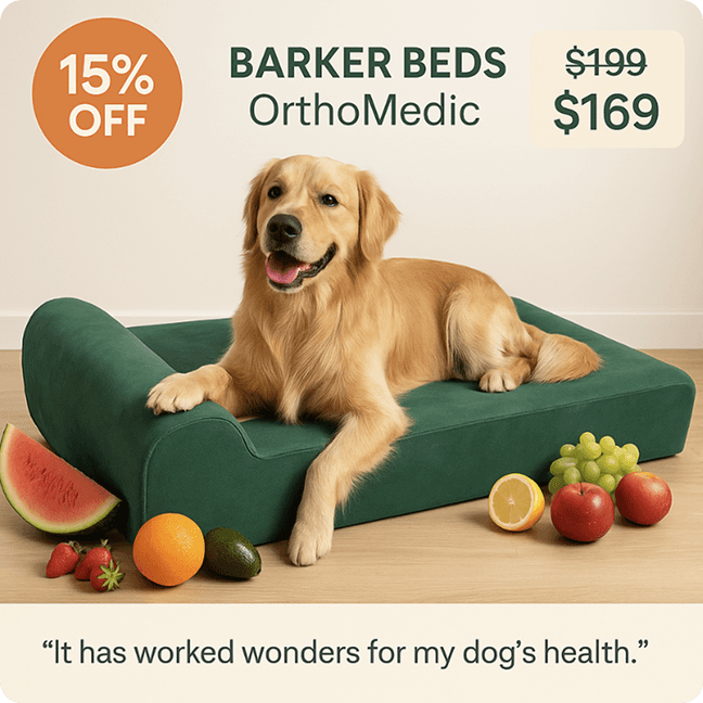 WinningAds-generated ad for Barker Beds OrthoMedic dog bed: 15% off badge, price dropped from $199 to $169, a golden retriever on the bed, and the testimonial “It has worked wonders for my dog's health.”
