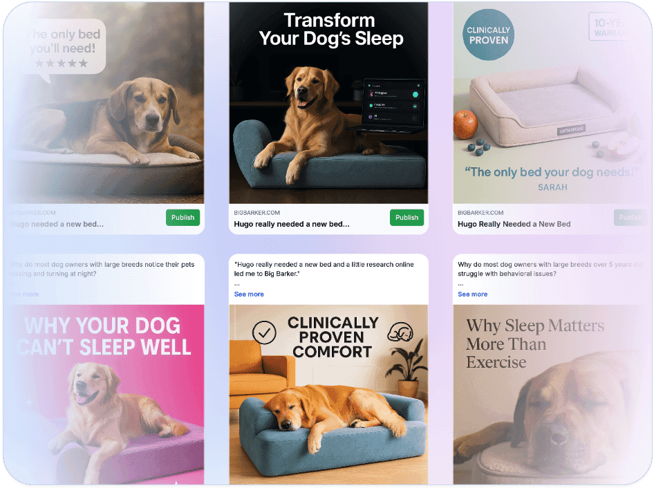 Examples of different automatically generated dog-bed ad formats